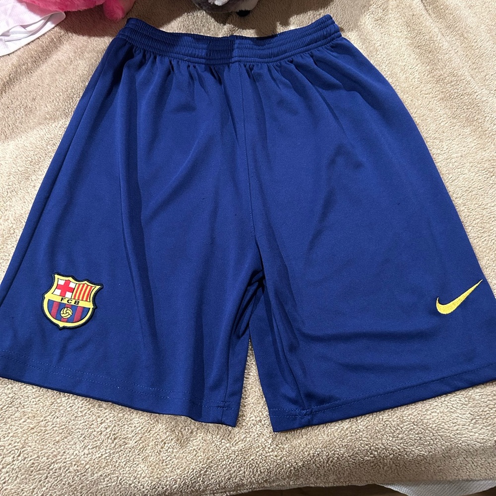 Nike Blue Athletic Shorts with Logo